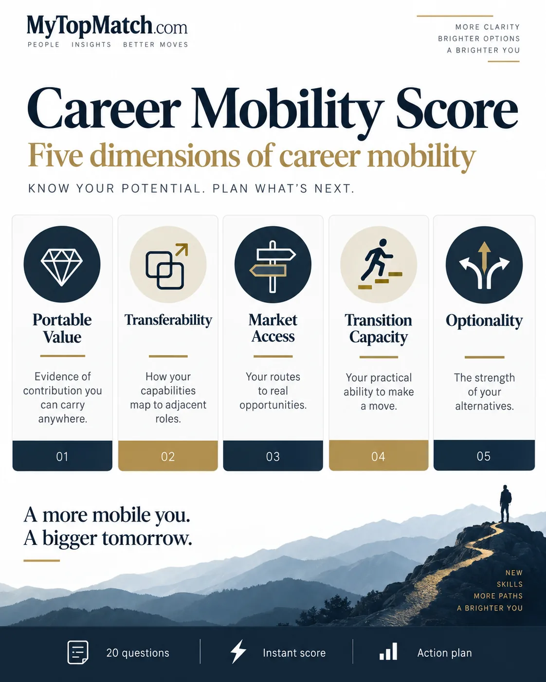 Career Mobility Score: five-dimension framework, described above